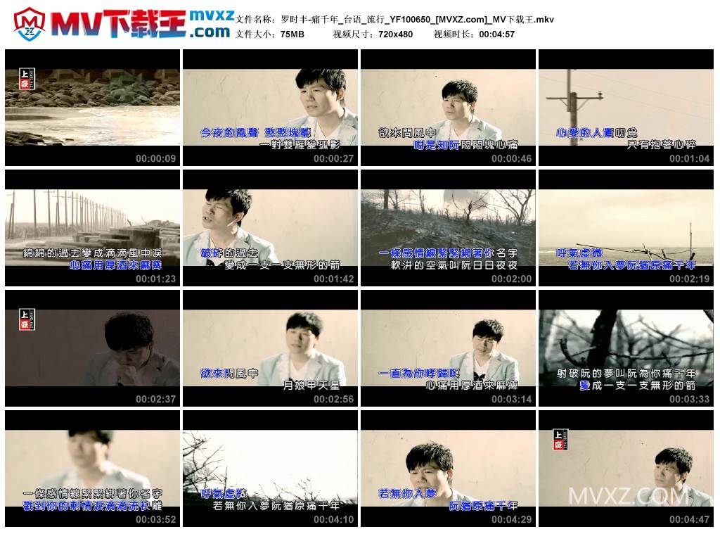 罗时丰-痛千年_台语_流行_YF100650